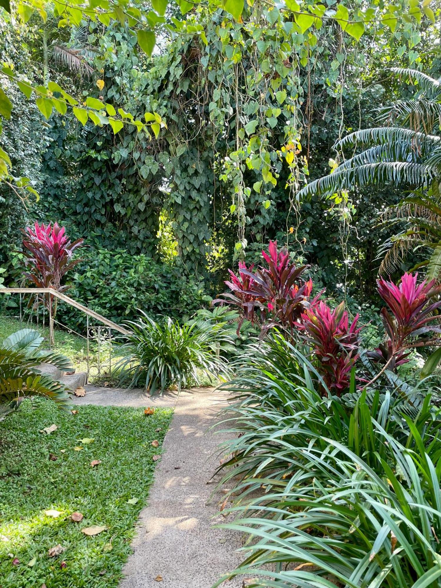 Hotel Babinda Quarters Extérieur photo